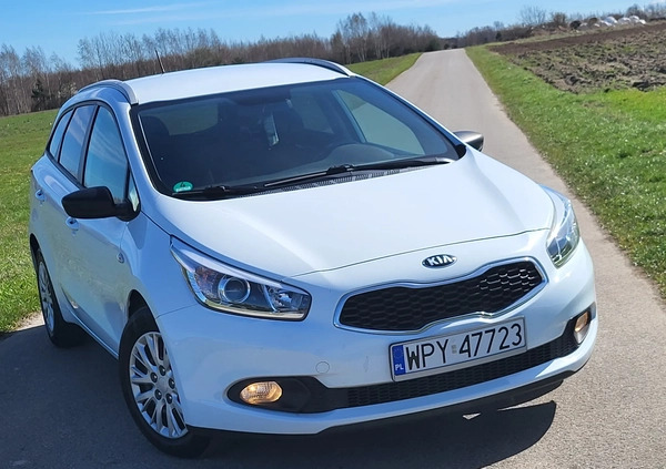 Kia Ceed cena 35777 przebieg: 131000, rok produkcji 2015 z Janów Lubelski małe 407